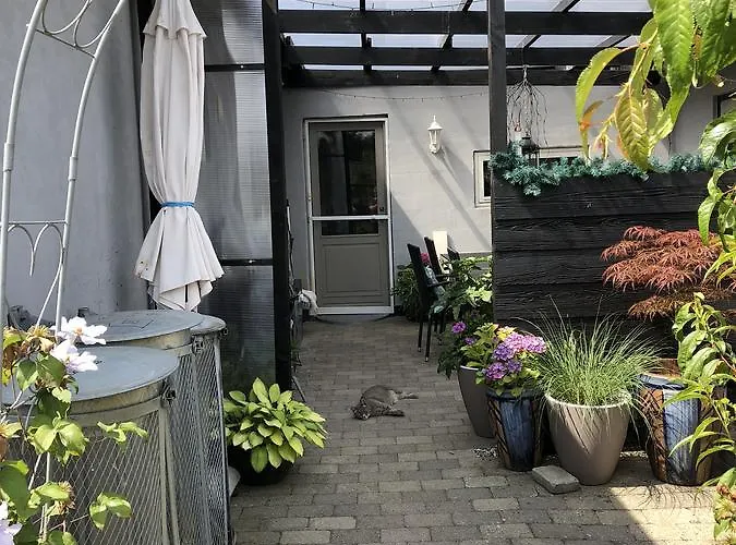 Guest house Svalegaarden Saerslev